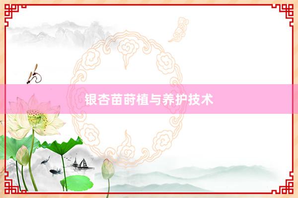 银杏苗莳植与养护技术