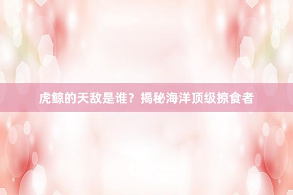 虎鲸的天敌是谁？揭秘海洋顶级掠食者