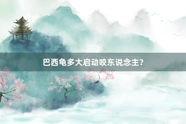 巴西龟多大启动咬东说念主？